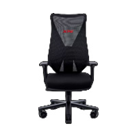 SILLA GAMER ADATA XPG NIMBUS ERGONOMICA CON SOPORTE LUMBAR MESH CON RESPALDO VENTILADO COLOR NEGRO (NIMBUS-BKCWW)